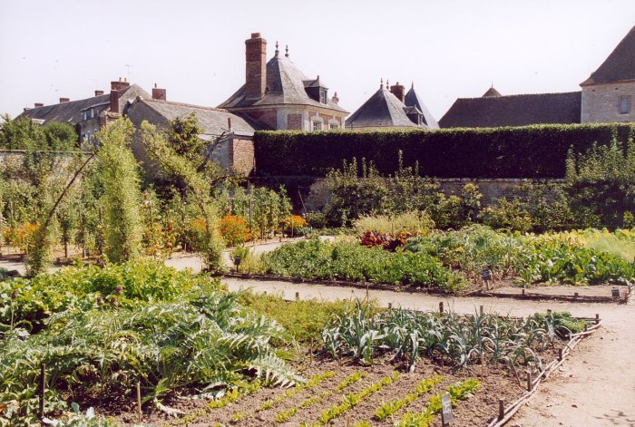 Ирис Шато де ля Бюсьер Iris Chateau de la Bussiere