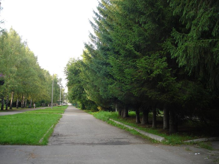 Аллея целинников Барнаул