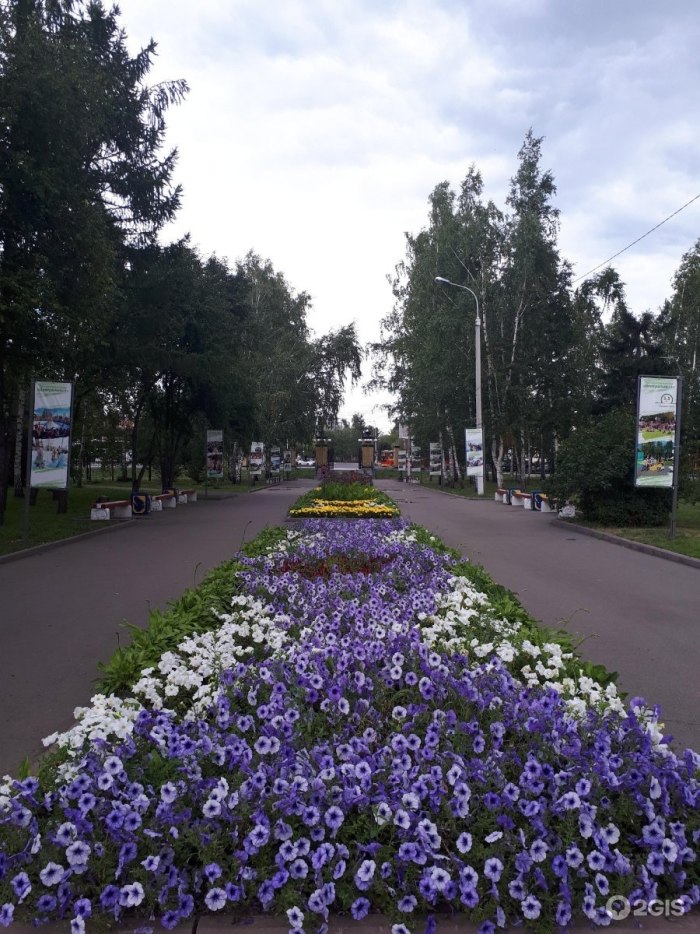 Центральный парк Барнаул