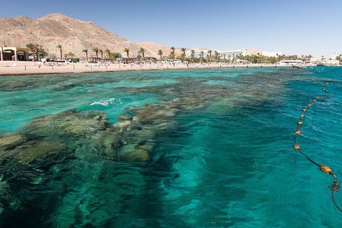 Красное море Израиль Эйлат