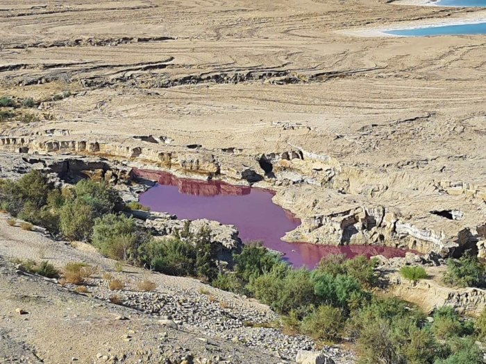 Река Иордан впадает в Мертвое море