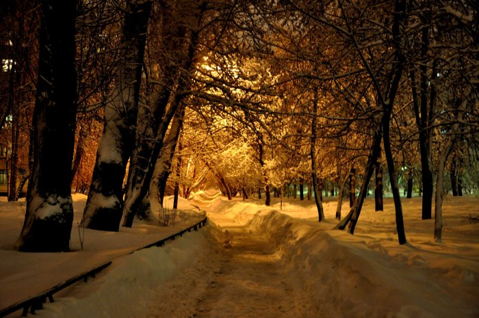 Москва зима ночь