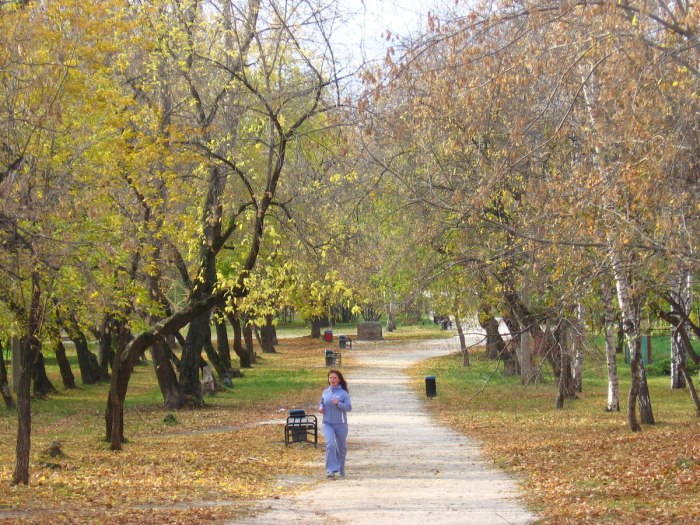 Осенние парки и скверы