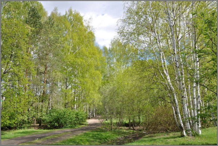 Парк ВЛКСМ Екатеринбург