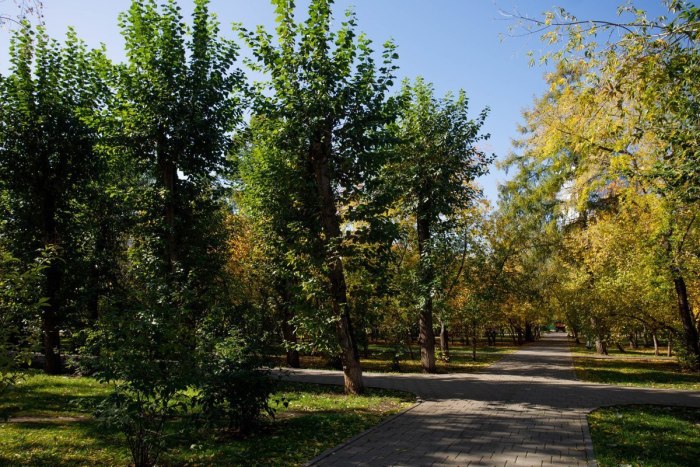 Лето парк Новокузнецк