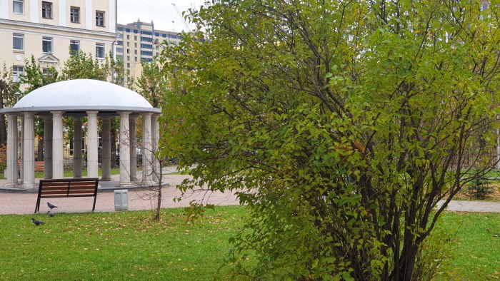 Парк им Морозова Екатеринбург