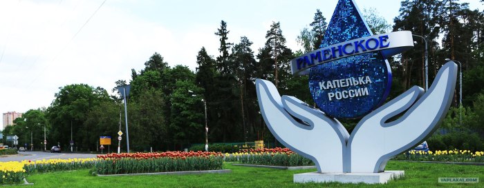 Раменское капелька России