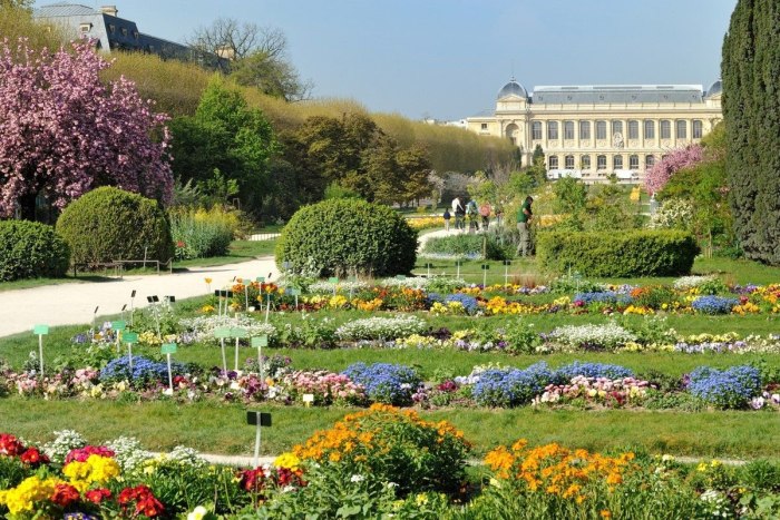 Ботанический сад в Париже Jardin des plantes