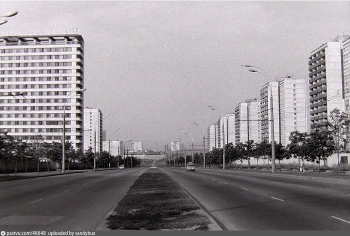 Проспект Вернадского Юго Западная 1960