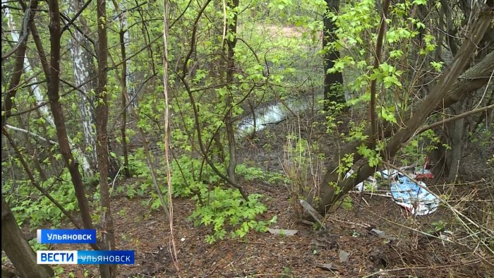 Винновская роща Ульяновск