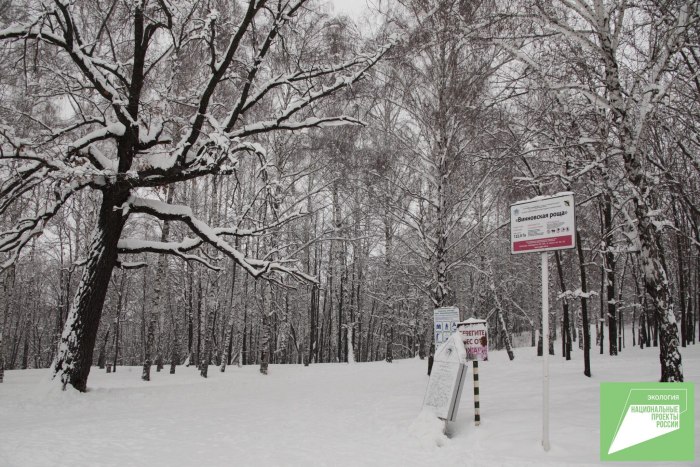 Винновская роща зимой Ульяновск