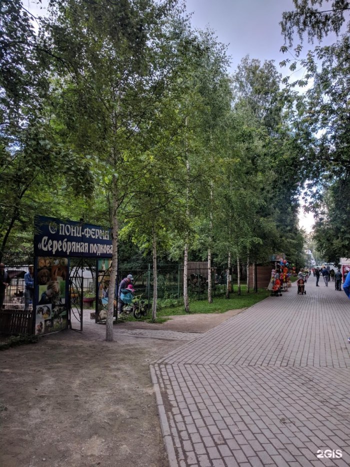 Берёзовая роща парк Новосибирск