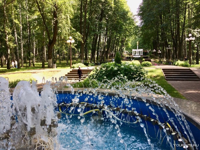 Парк Березовая роща город Дмитров
