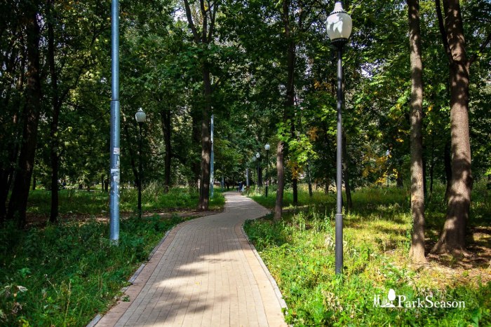 Парк Березовая роща