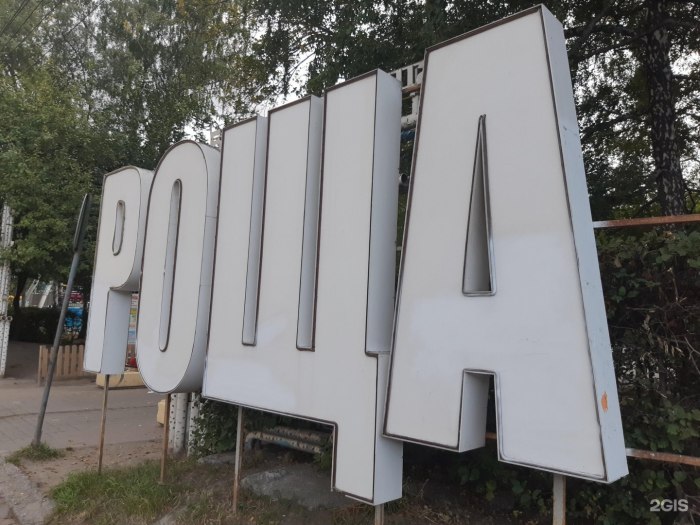 Берёзовая роща парк Новосибирск