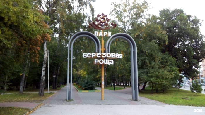 Березовая роща парк Новосибирск вечером
