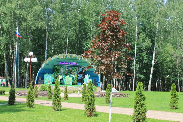 Березовая роща Новосибирск