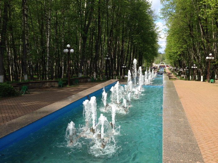 Березовая роща Дмитров
