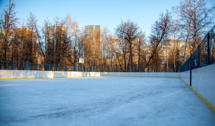 Парк Березовая роща каток