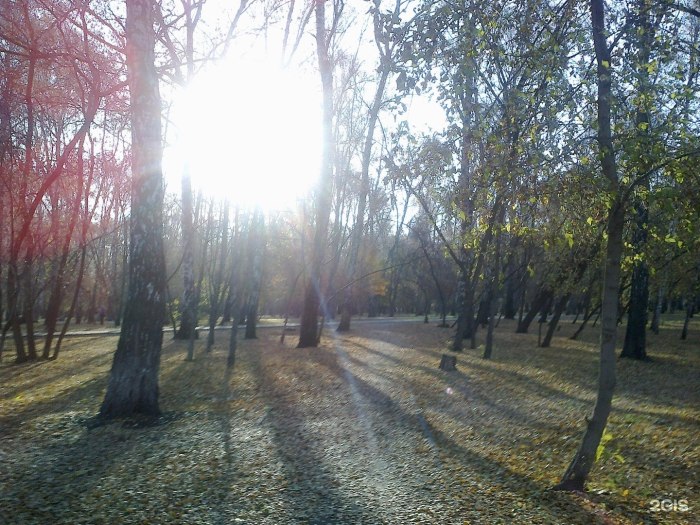 Парк Березовая роща