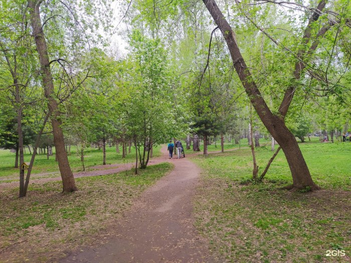 Парк Березовая роща Хабаровск