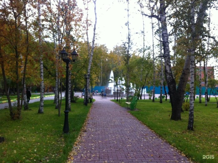 Берёзовая роща парк Новосибирск