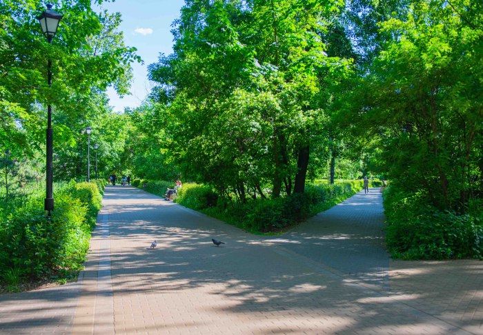 Сквер Березовая роща Тюмень