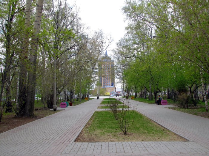 Березовая роща Новосибирск