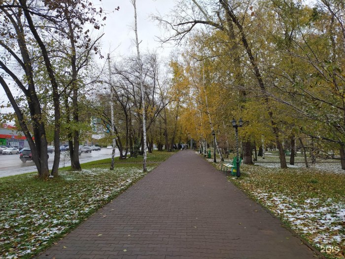 Березовая роща Новосибирск