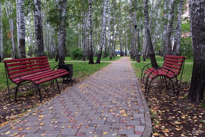 Березовая роща Тюмень