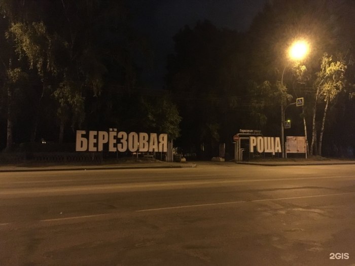 Знаки на кольце Березовая роща Новосибирск фото