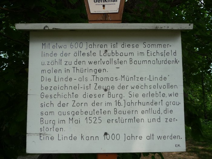 Табличка Linde