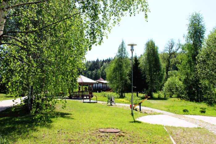 Раубичи летом