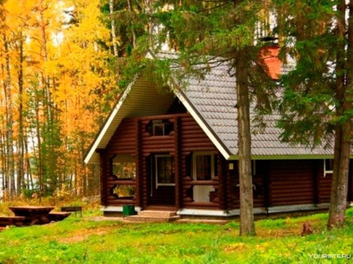 Деревянный дом в лесу