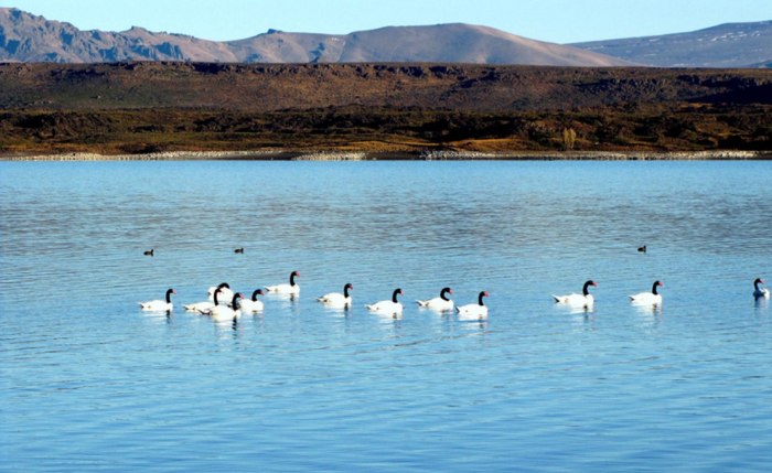 Laguna Panacocha