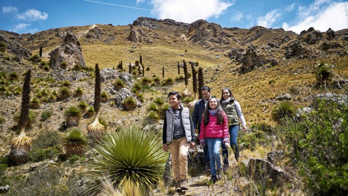 Federation of the Andes