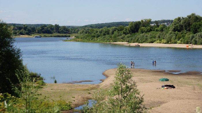 Пляж река Ока Таруса