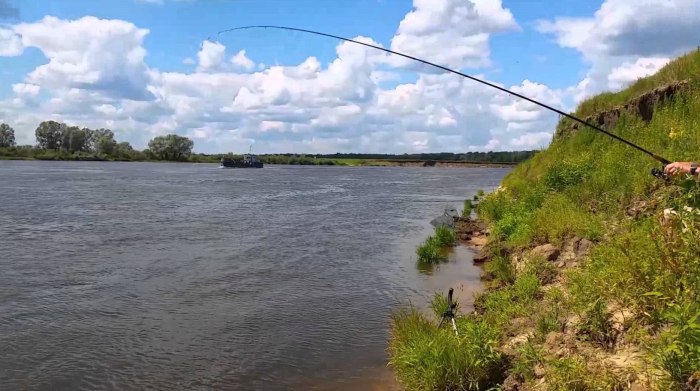 Рыбалка на реке Ока в Рязанской области