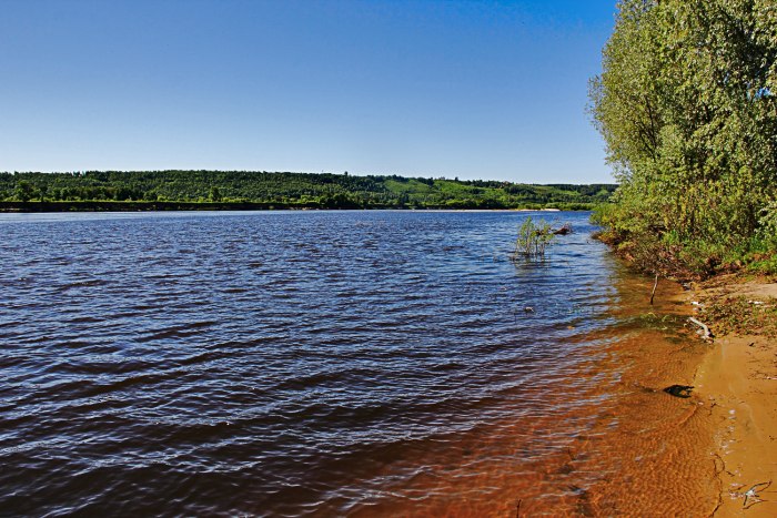 На берегу реки