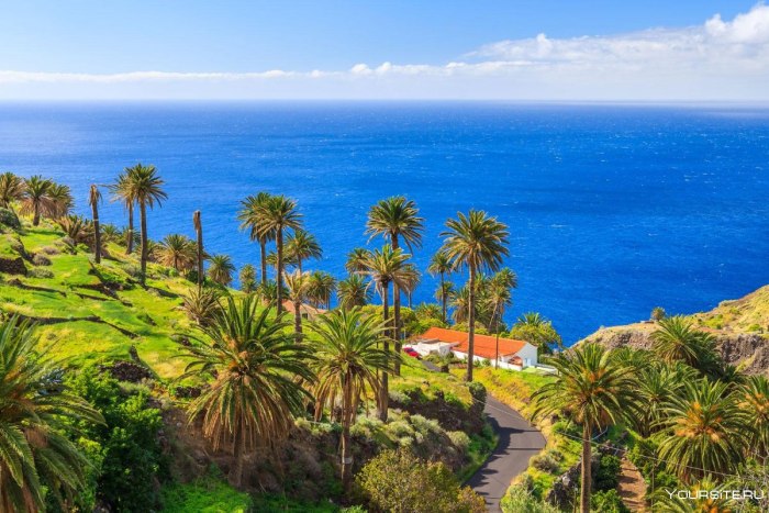 Канарские острова (Canary Islands)