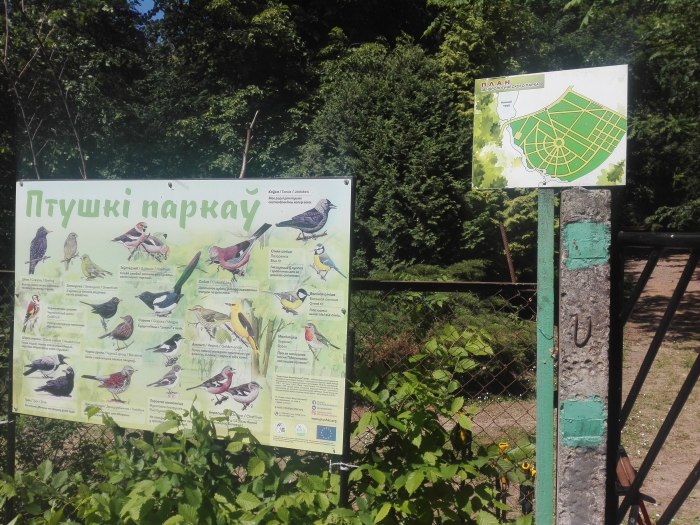 Дендропарк горки