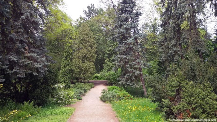 Сырецкий дендрологический парк