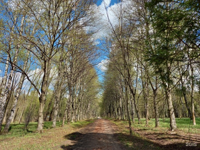 Бирюлевский дендропарк Москва