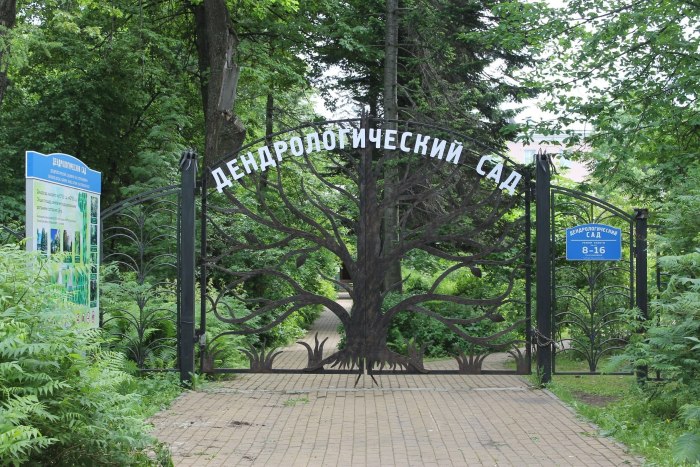 Дендрологический сад имени и.м. Стратоновича