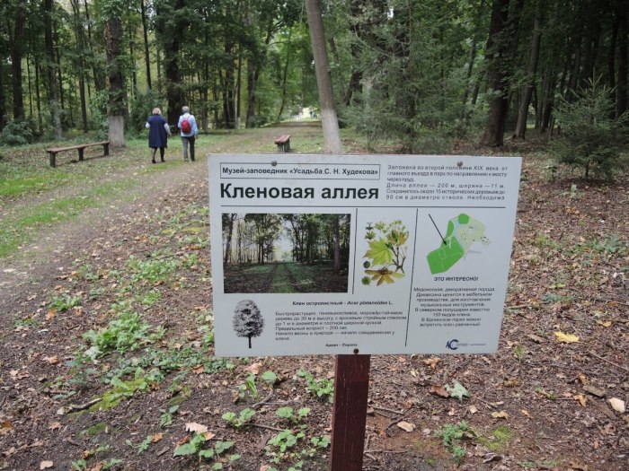 Ерлино парк Дендрарий