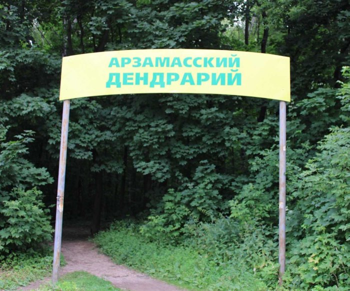 Арзамас парк Дендрарий