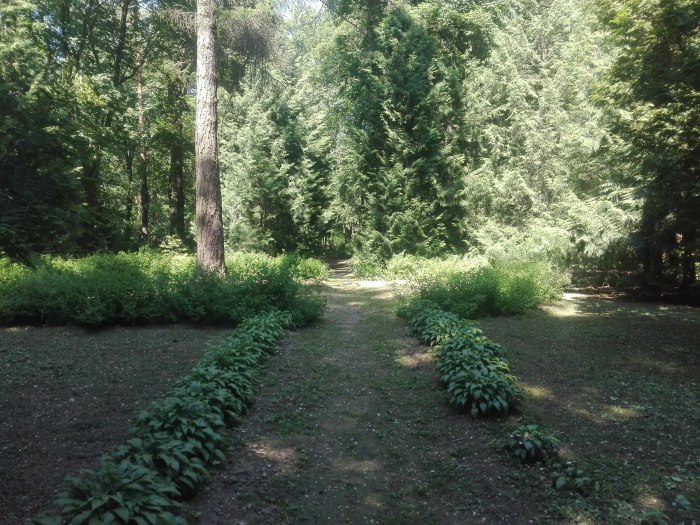 Дендропарк Каменецкая гора