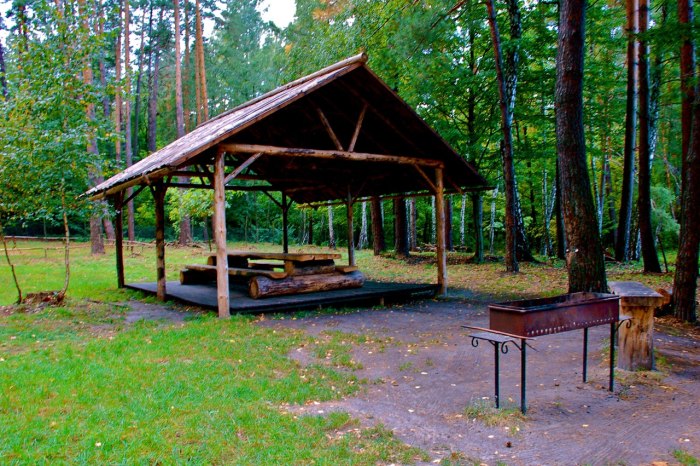 Парк Царицыно пикниковая зона