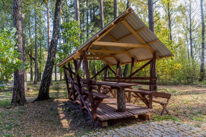 Пикниковый городок в загородном парке Владимир