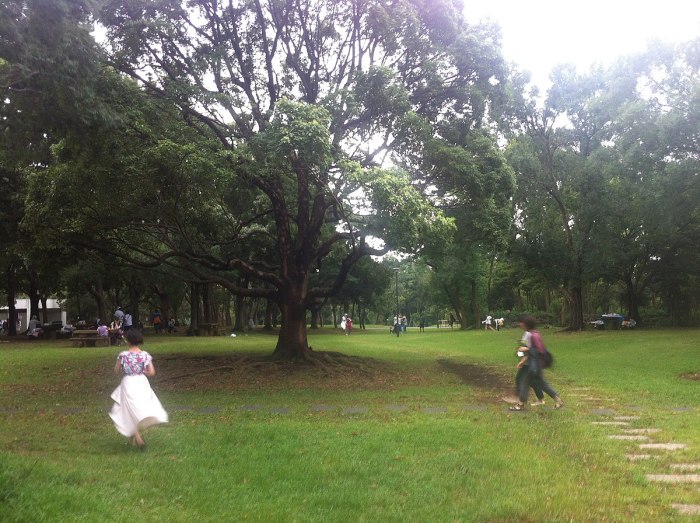 Yumenoshima Park